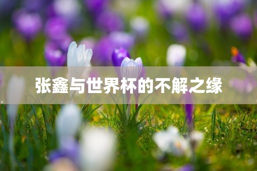 张鑫与世界杯的不解之缘