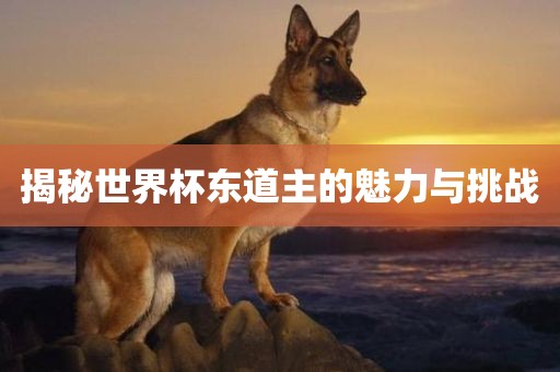 揭秘世界杯东道主的魅力与挑战