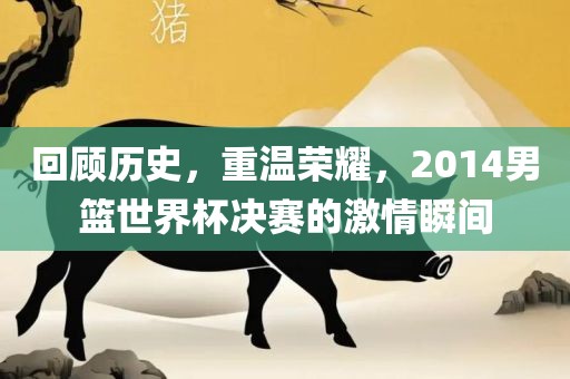 回顾历史，重温荣耀，2014男篮世界杯决赛的激情瞬间洪湖市顺升工程机械租赁有限公司