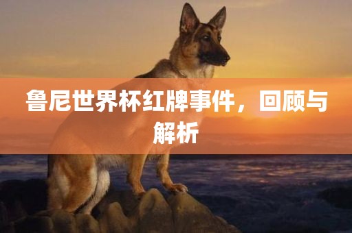 鲁尼世界杯红牌事件，回顾与解析洪湖市顺升工程机械租赁有限公司