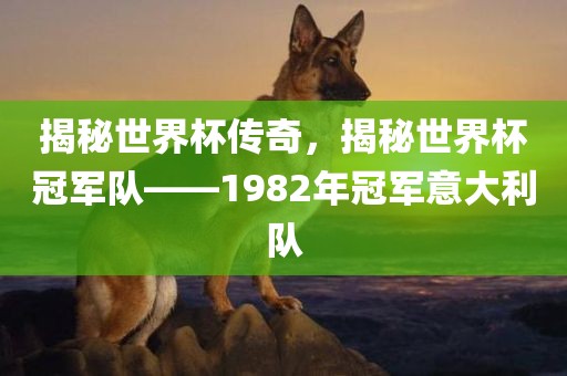 揭秘世界杯传奇，揭秘世界杯冠军队——1982年冠军意大利队