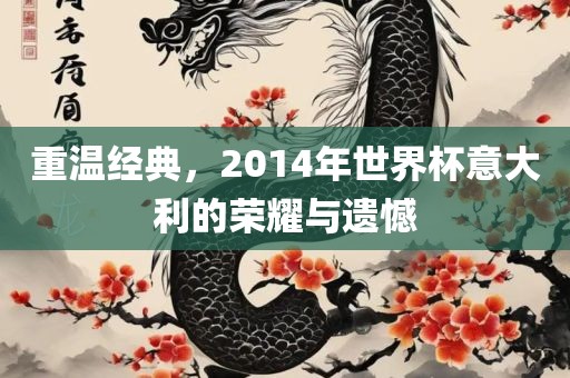 重温经典，2014年世界洪湖市顺升工程机械租赁有限公司杯意大利的荣耀与遗憾