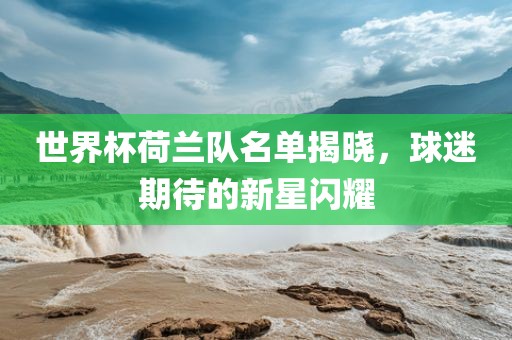 洪湖市顺升工程机械租赁有限公司世界杯荷兰队名单揭晓，球迷期待的新星闪耀
