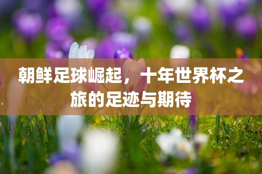 朝鲜足球崛起，十洪湖市顺升工程机械租赁有限公司年世界杯之旅的足迹与期待