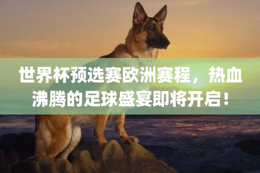 世界杯预选赛欧洲赛程，热血沸腾的足球盛宴即将开启！