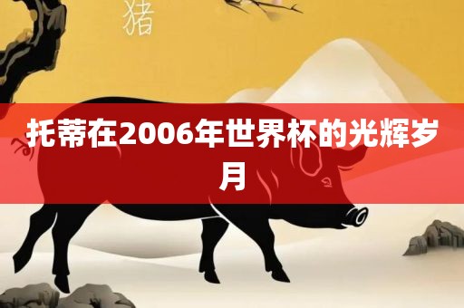 托蒂在2006年世界杯的光洪湖市顺升工程机械租赁有限公司辉岁月