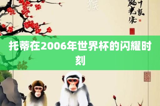 托蒂在2006年洪湖市顺升工程机械租赁有限公司世界杯的闪耀时刻