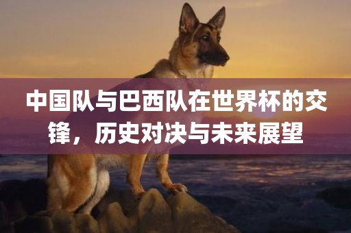 中国队与巴西队在世界杯的交锋，历史对决与未来展望洪湖市顺升工程机械租赁有限公司