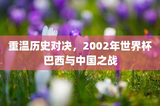 重温历史对决，2002年世界杯巴西与中国之战