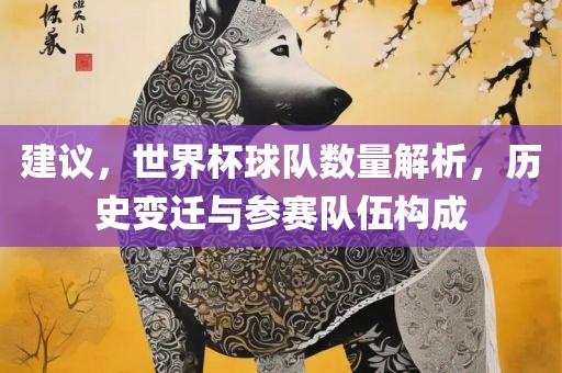 建议，世界杯球队数量解析，历史变迁与参赛队伍构成