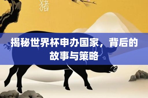 揭秘世界杯申办国家，背后的故事与策略洪湖市顺升工程机械租赁有限公司
