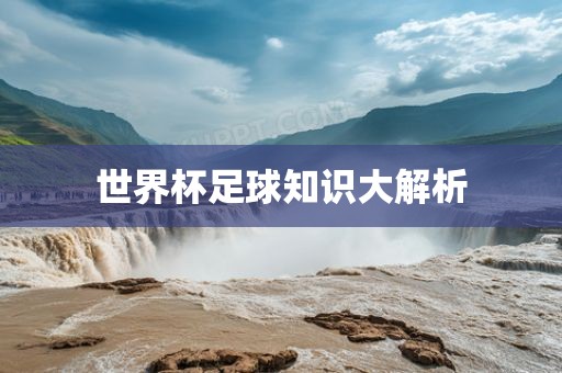 世界杯足球知识大解析