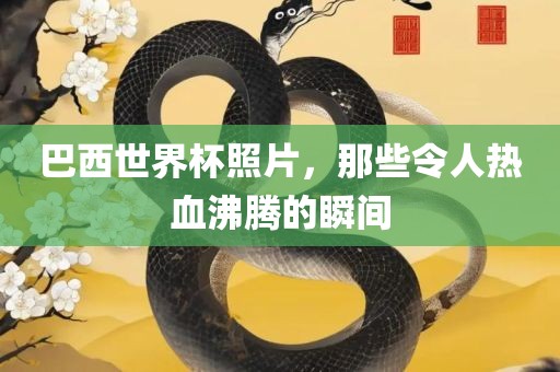 巴西世界杯照片，那些令人热血沸腾的瞬间洪湖市顺升工程机械租赁有限公司