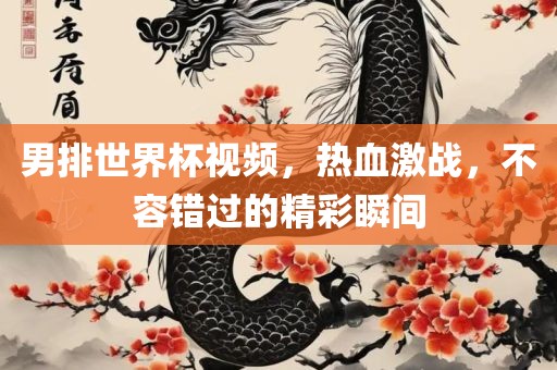 男排世界杯视频，热血激战，不容错过的洪湖市顺升工程机械租赁有限公司精彩瞬间