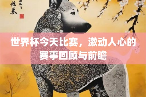 世界杯今天比赛，激动人心的赛事回顾与前瞻洪湖市顺升工程机械租赁有限公司