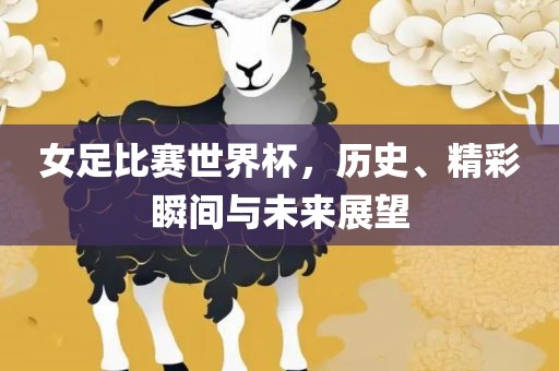 女足比赛世界杯，历史、精彩瞬间与未来展望