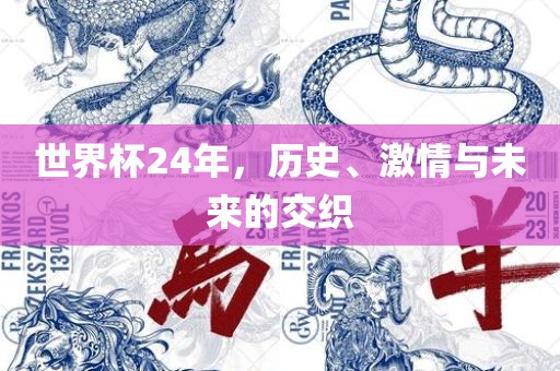 世界杯24洪湖市顺升工程机械租赁有限公司年，历史、激情与未来的交织