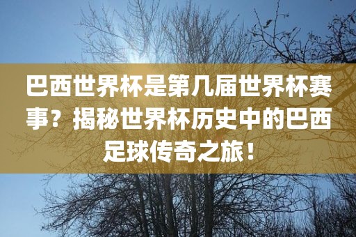 巴西世界杯是第几洪湖市顺升工程机械租赁有限公司届世界杯赛事？揭秘世界杯历史中的巴西足球传奇之旅！
