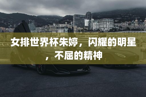 女排世界杯朱婷，闪耀的明星，不屈的精神洪湖市顺升工程机械租赁有限公司