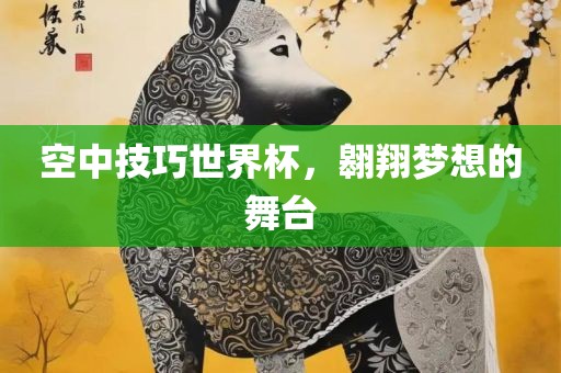 空中技巧世界杯，翱翔梦想的舞台洪湖市顺升工程机械租赁有限公司