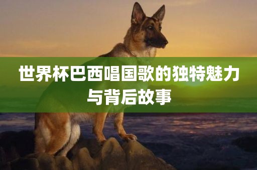世界杯巴西唱国歌的独特魅力与背后故事