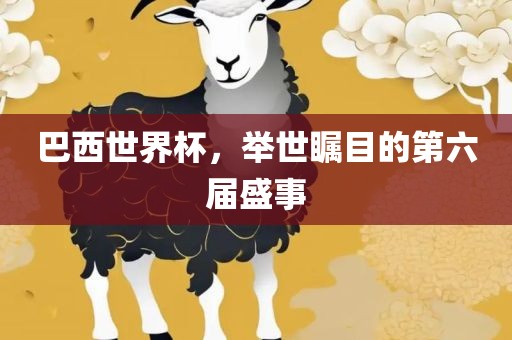 巴西世界杯，举世瞩目的第六届盛事洪湖市顺升工程机械租赁有限公司