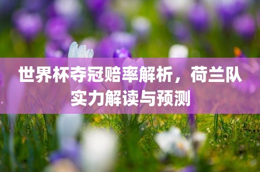 世界杯夺冠赔率解析，荷兰队实力解读与预测洪湖市顺升工程机械租赁有限公司