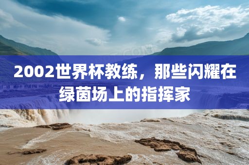 2002世界杯教练，那些闪耀在绿茵场上的指挥家洪湖市顺升工程机械租赁有限公司