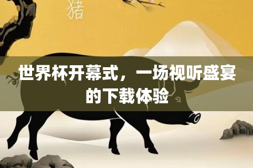 世界杯开幕式，一场视听盛宴的下载洪湖市顺升工程机械租赁有限公司体验