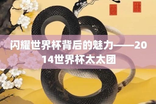 闪耀世界杯背后的魅力——2014世界杯太太团洪湖市顺升工程机械租赁有限公司