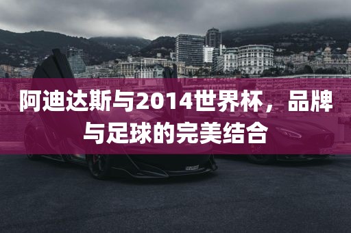 阿迪达斯与2014世界杯，品牌与足球的完美结合洪湖市顺升工程机械租赁有限公司