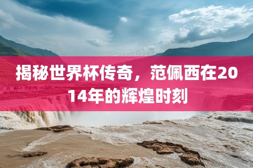 揭秘世界杯传奇，范佩西在2014年的辉煌时刻