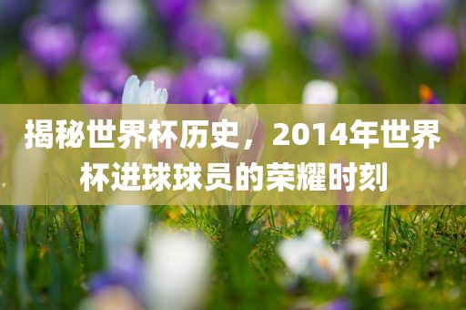 揭秘世界杯历史，2014年世界杯进球球员的荣耀时刻洪湖市顺升工程机械租赁有限公司