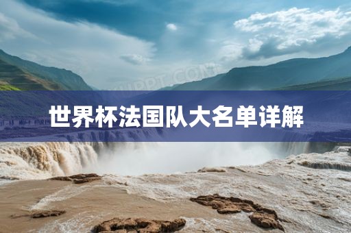 世界杯法国队大名单详解洪湖市顺升工程机械租赁有限公司