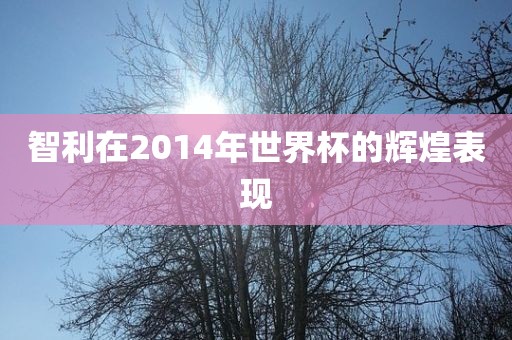 智利在2014年世界杯的辉煌表现洪湖市顺升工程机械租赁有限公司