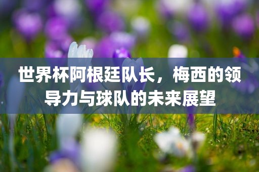 世界杯阿根廷队长，洪湖市顺升工程机械租赁有限公司梅西的领导力与球队的未来展望