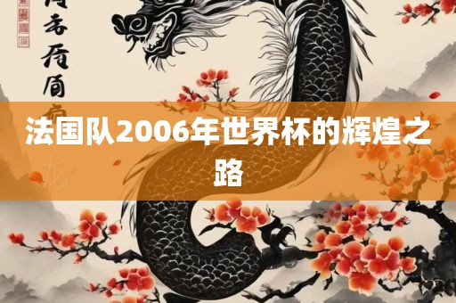 法国队2006年世界杯的洪湖市顺升工程机械租赁有限公司辉煌之路