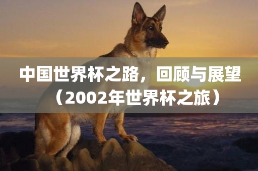 中国世界杯之路，回顾与展望（2002年世界杯之旅）洪湖市顺升工程机械租赁有限公司