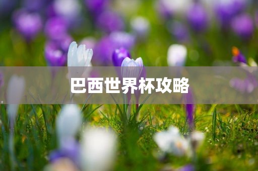 巴西洪湖市顺升工程机械租赁有限公司世界杯攻略