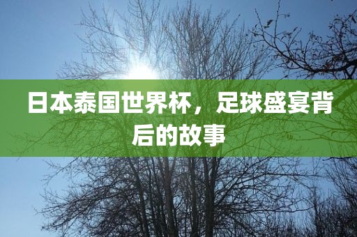 日本泰国世界杯，足球盛宴背后的故事