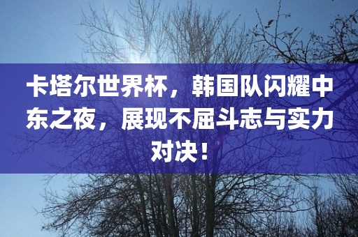 卡塔尔世界杯，韩国队闪耀中东之夜，展现不屈斗志与实力对决！