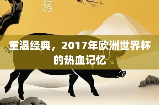 重温经典，2017年欧洲世界杯的热血记忆