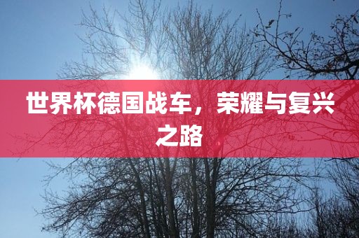 世界杯德国战车，荣耀与复兴之路洪湖市顺升工程机械租赁有限公司