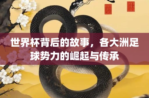 世界杯背后的故事，各大洲足球势力的崛起与传承
