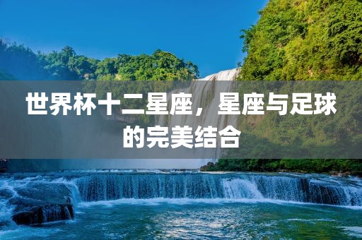 世界杯十二星座，星座与足球的完美结合洪湖市顺升工程机械租赁有限公司