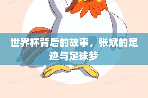 世界杯背后的故事，张斌的足迹与足球梦洪湖市顺升工程机械租赁有限公司