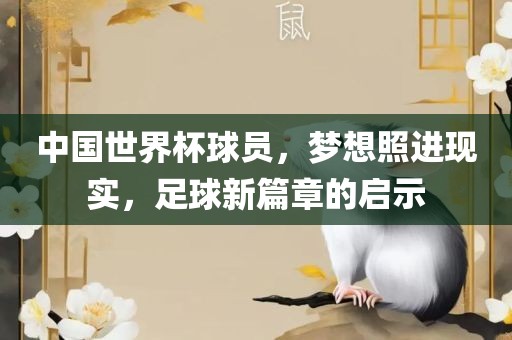 中国世界杯球员，梦想照进现实，足球新篇章的启示
