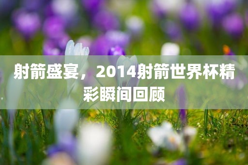 射箭盛宴，2014射箭世界杯精彩瞬间回顾洪湖市顺升工程机械租赁有限公司