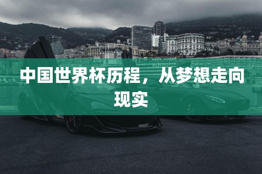 洪湖市顺升工程机械租赁有限公司中国世界杯历程，从梦想走向现实