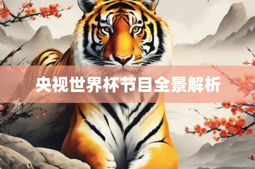 央视世界杯节目全景解析